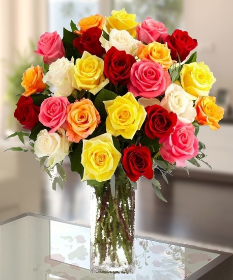 Rainbow Rose collection (1/2 dozen to 5 dozen)